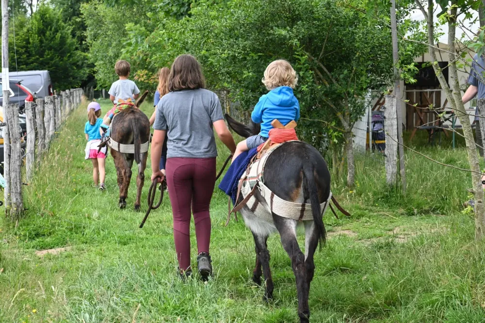 Balade en âne à Retiers